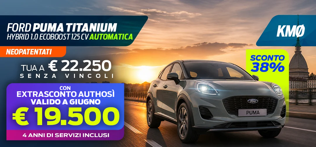 KM0-PUMA-2-SITO